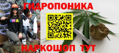 тгк Будённовск