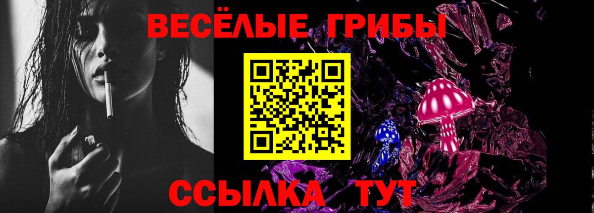 Псилоцибиновые грибы Psilocybe Приморско-Ахтарск