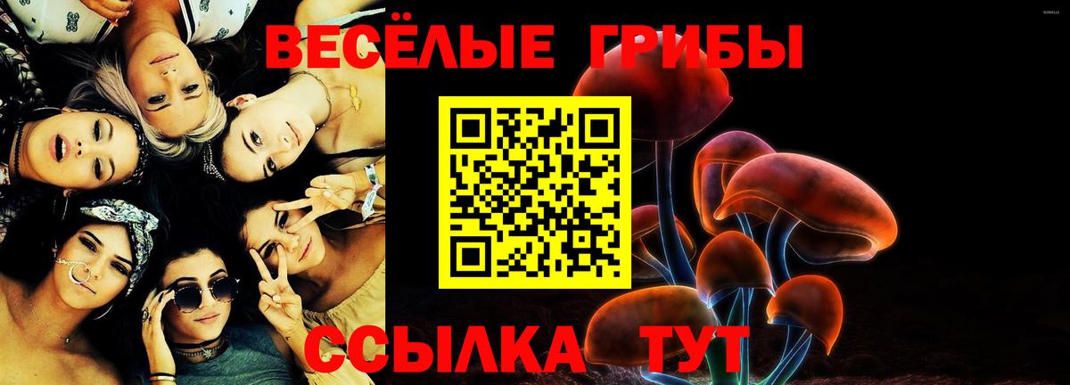 Псилоцибиновые грибы ЛСД  Вход с VPN  Приморско-Ахтарск 
